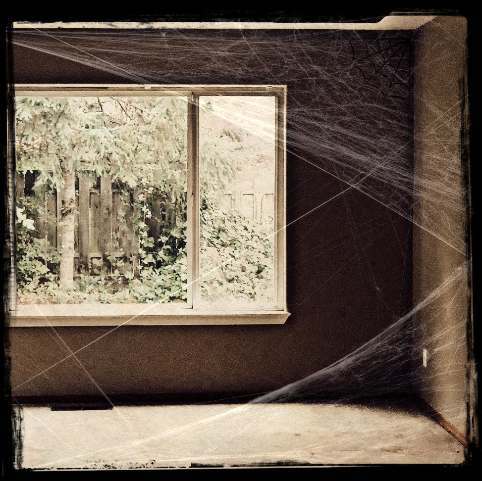 cobwebs